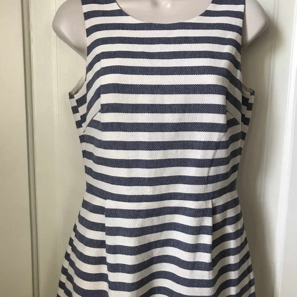 JCrew Fit and Flare sleeveless Dress
